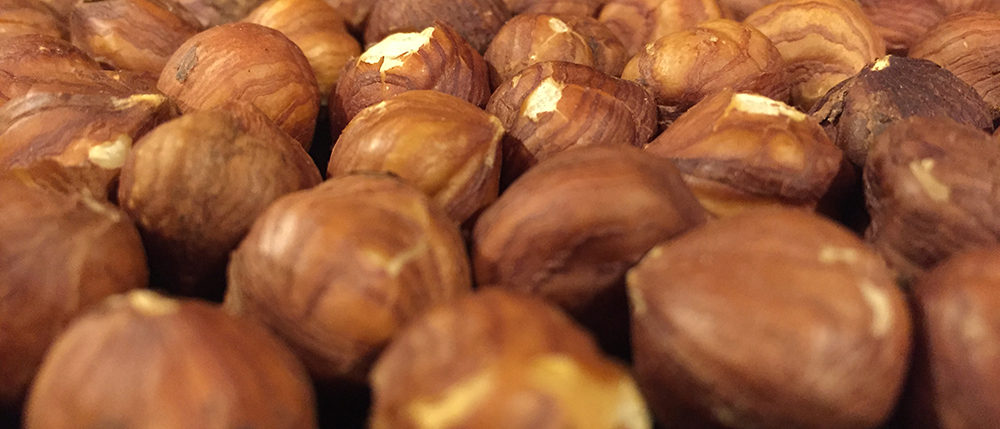 hazelnut-header