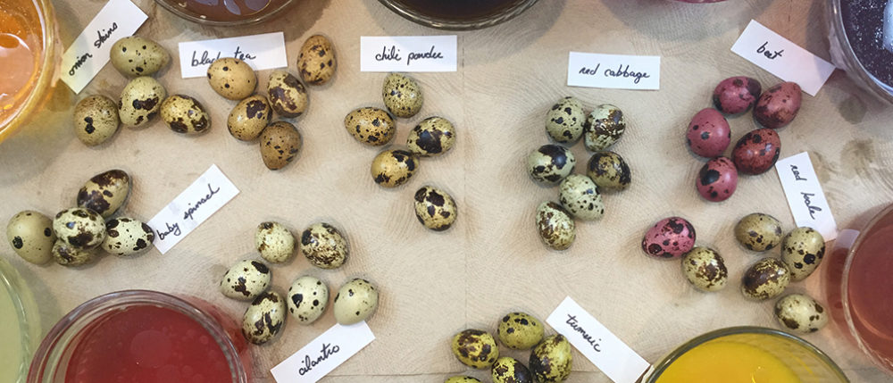 quail-egg-header