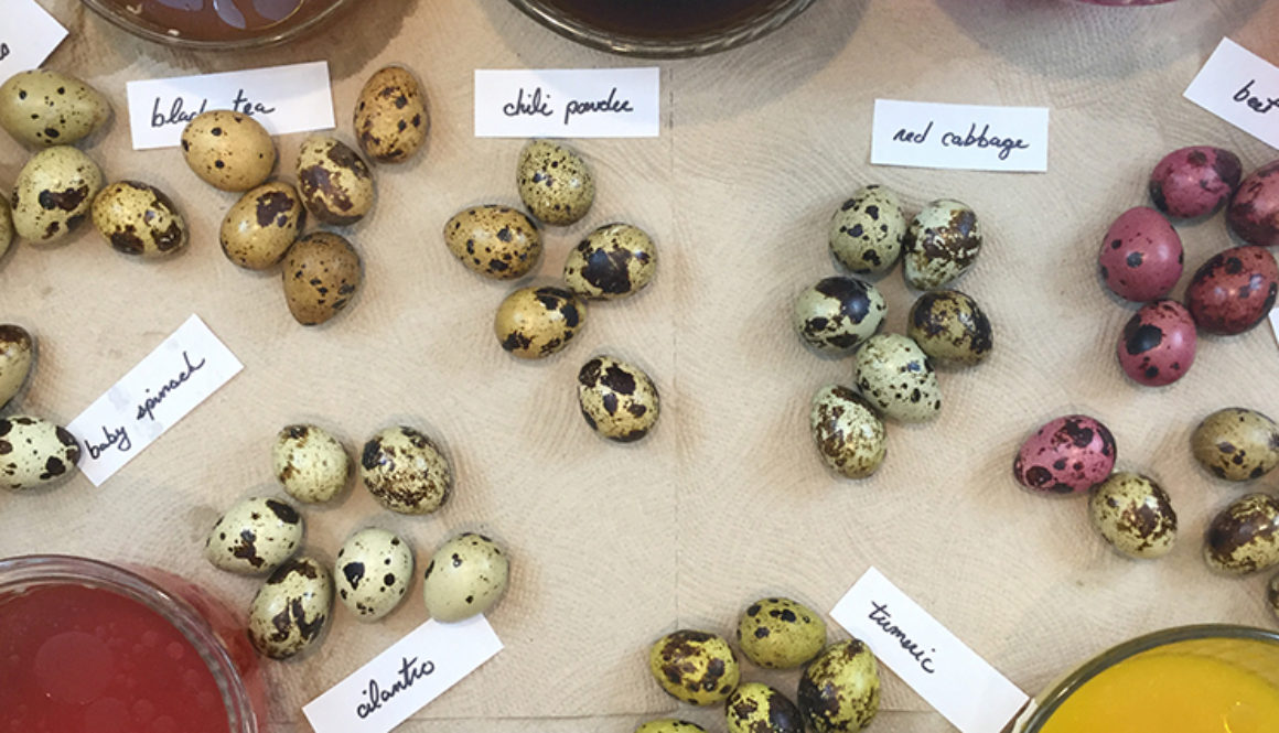 quail-egg-header