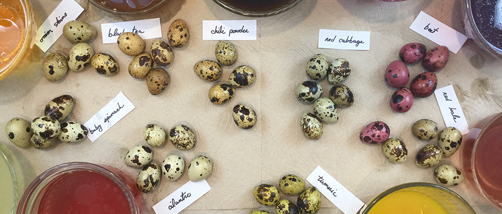 quail-egg-header