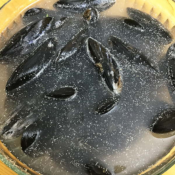 mussels1