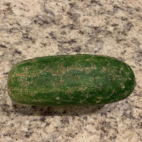 cucumber-scale-2